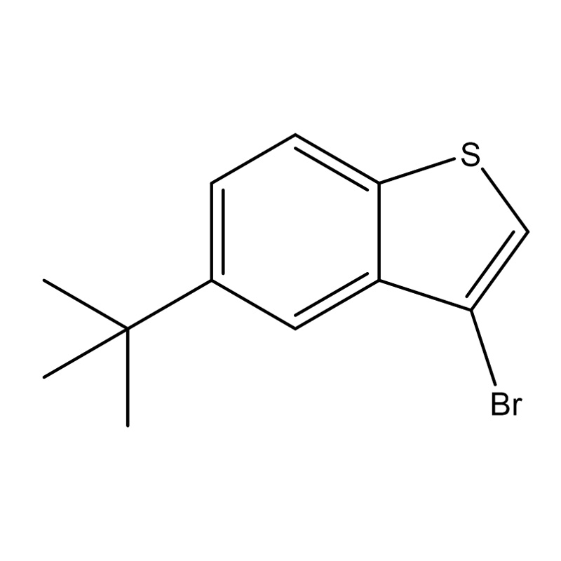 3-Bromo-5-(tert-butyl) benzo[b]thiophene